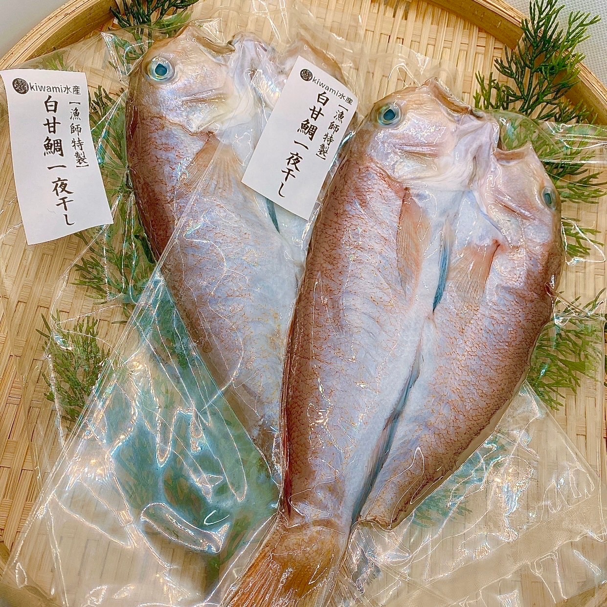 【超高級魚】白甘鯛の一夜干し