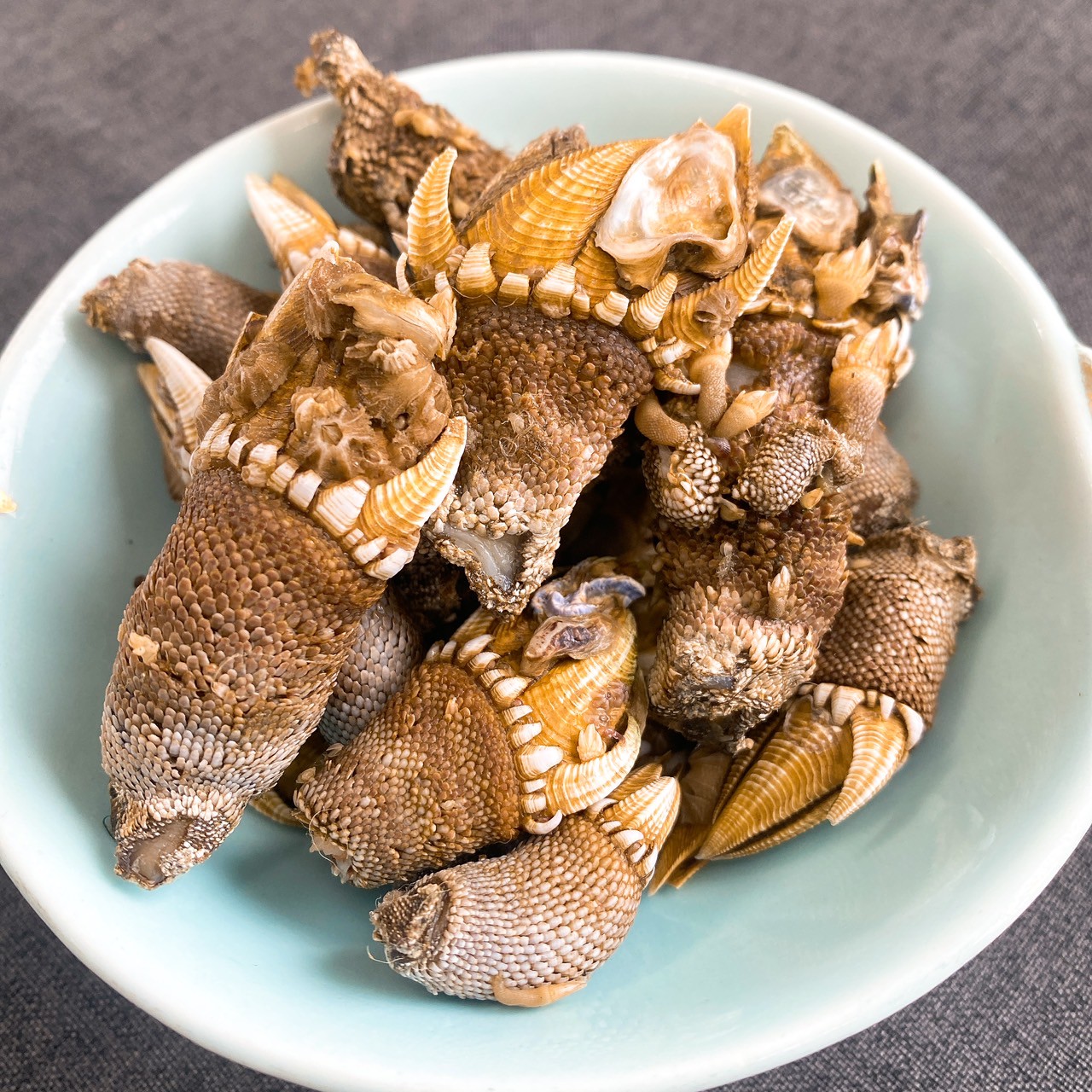 【浜名湖産】カメノテの塩茹で