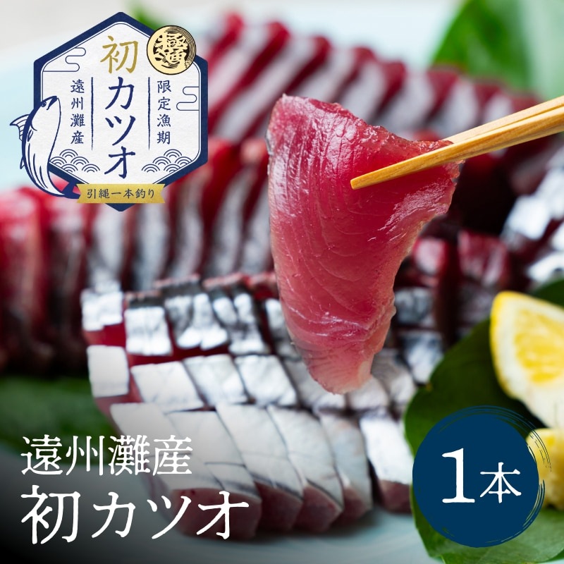 遠州灘産初カツオ 1本