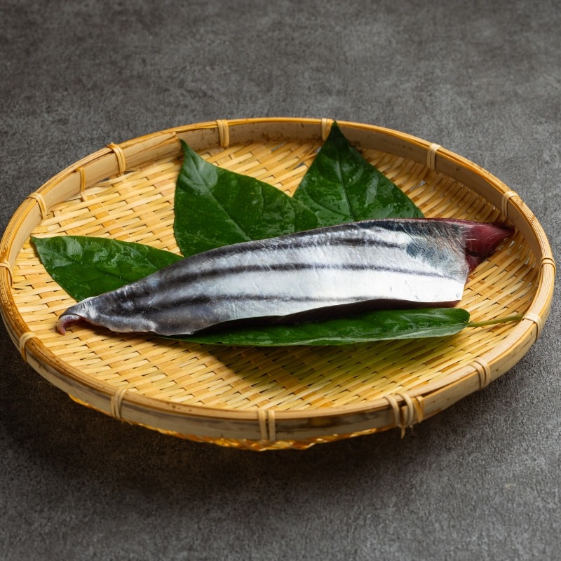 遠州灘産初カツオ 5本