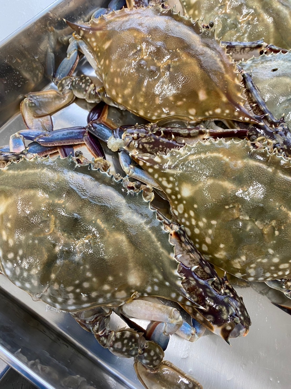 【本ワタリガニ】浜名湖産湖宝蟹沖漬け　1杯約250g