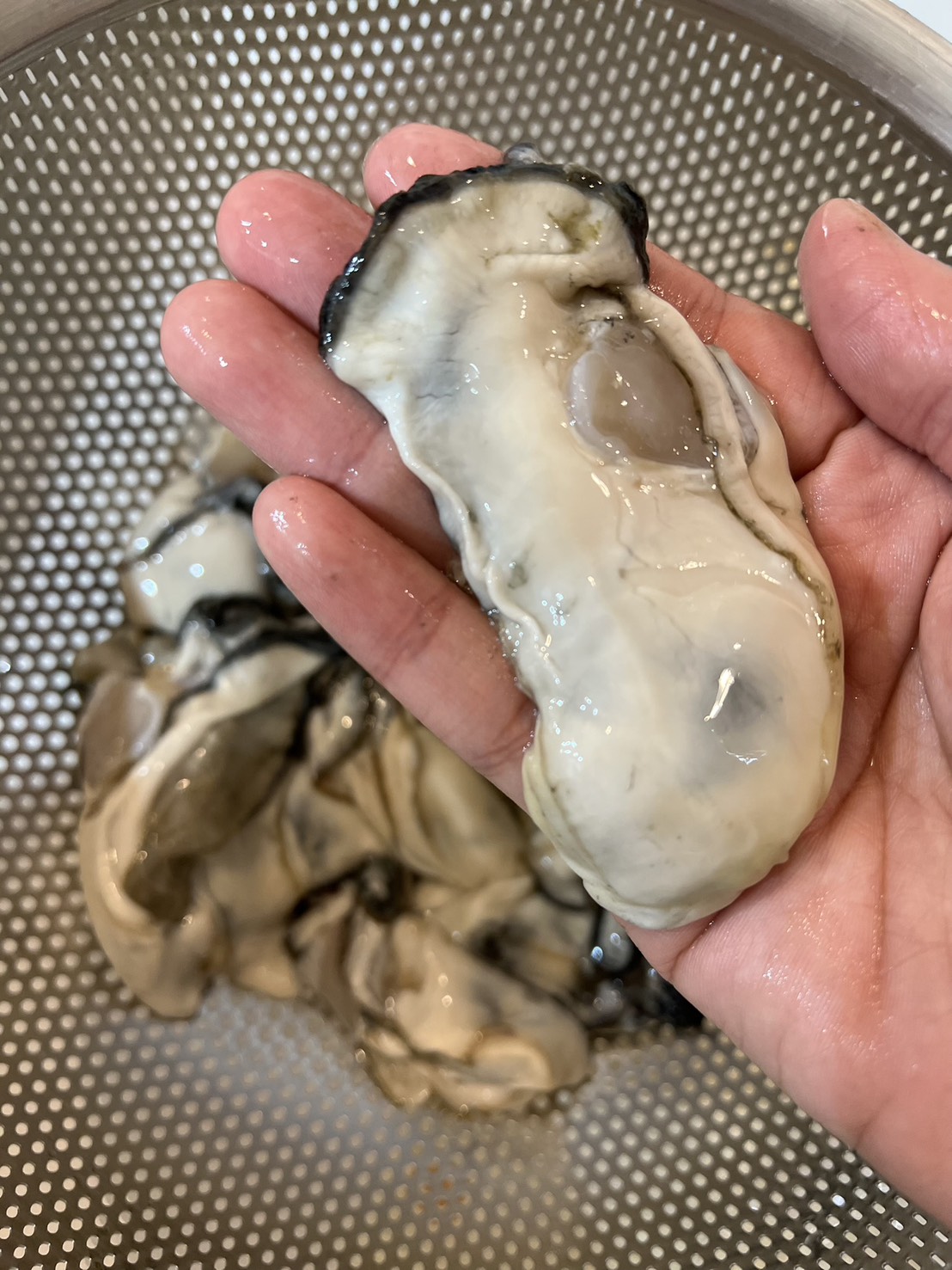 季節の鮮魚BOX