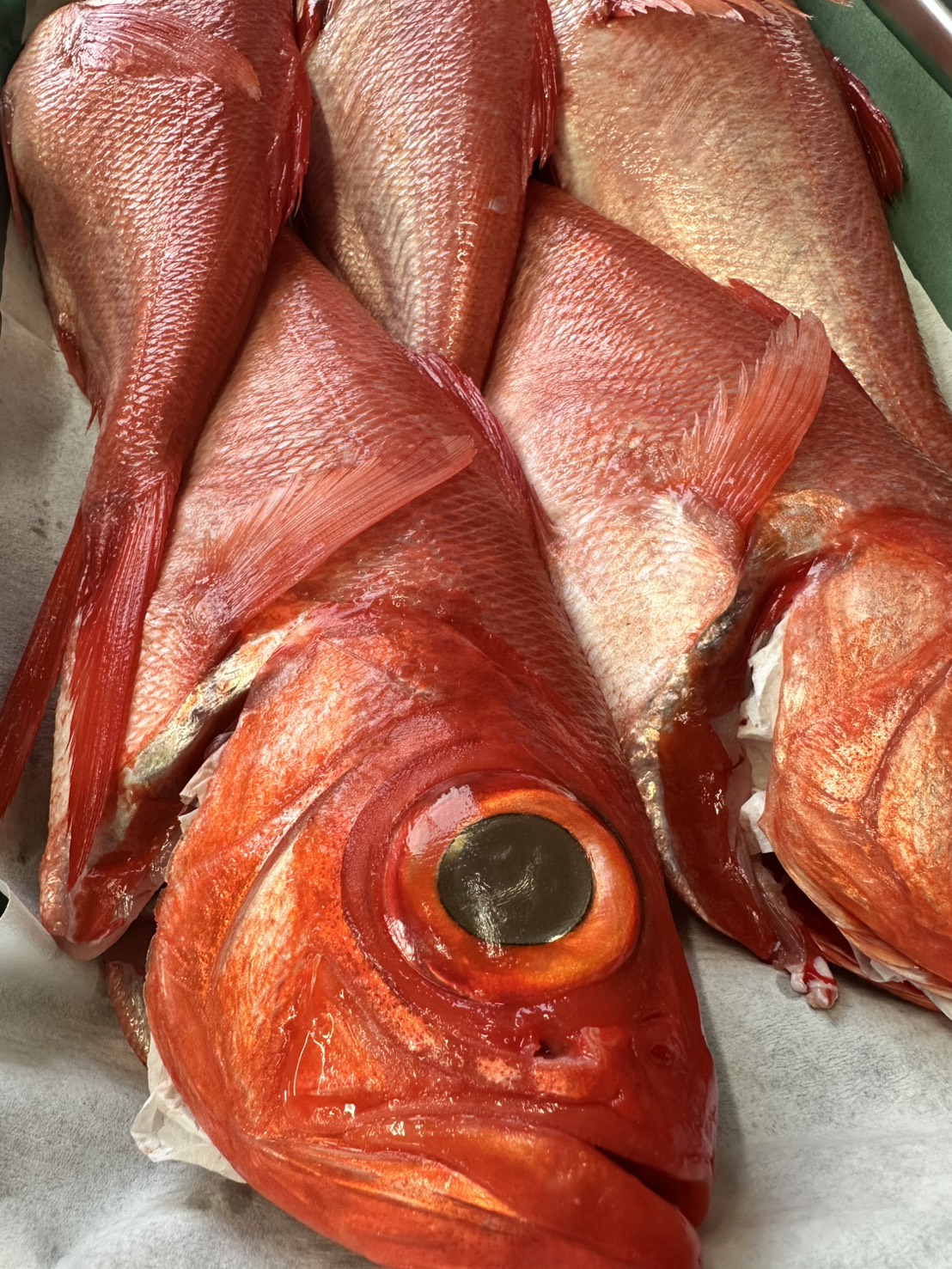 季節の鮮魚BOX