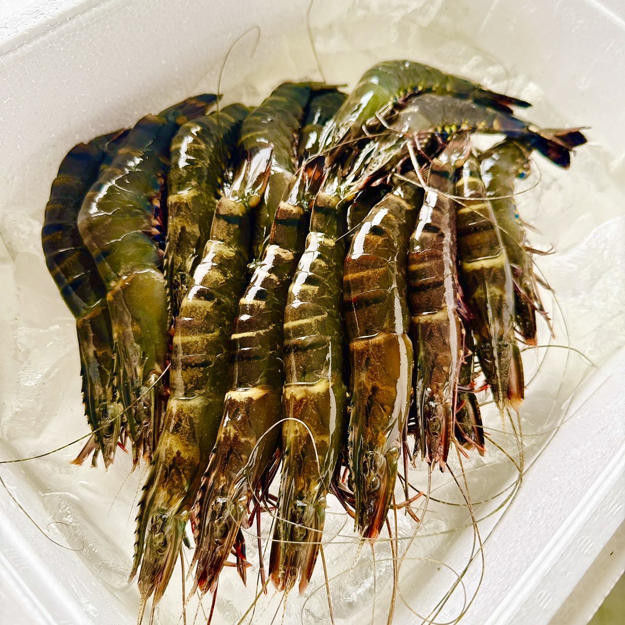 季節の鮮魚BOX