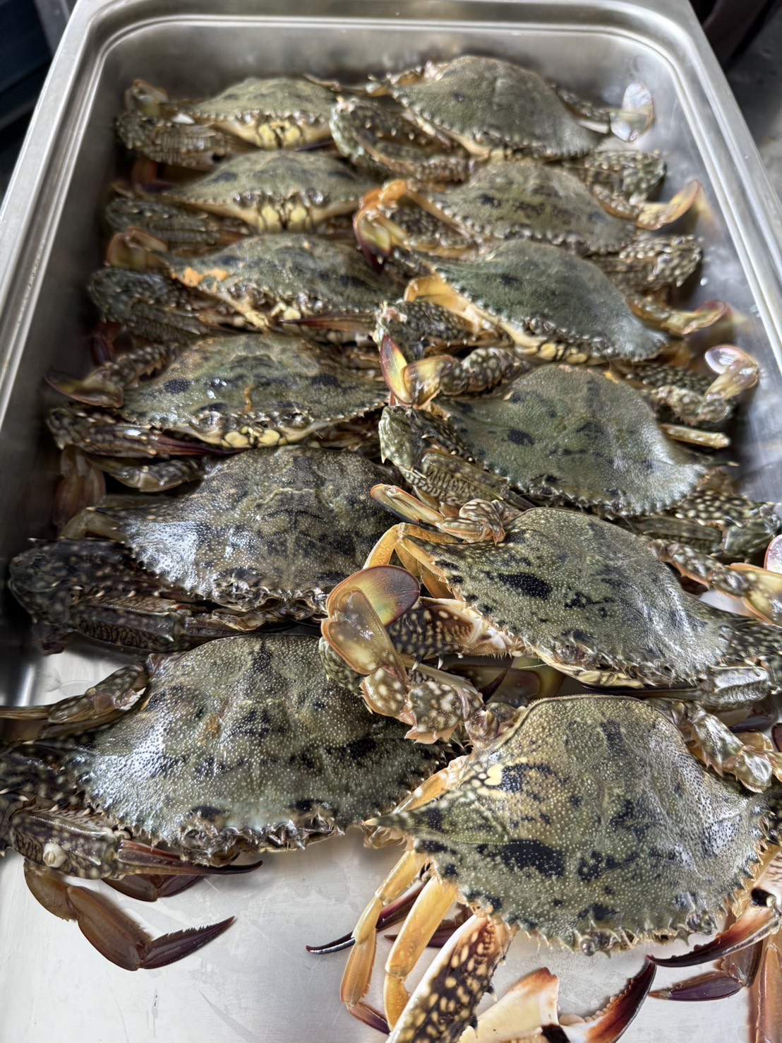 季節の鮮魚BOX