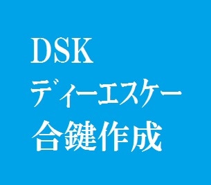 DSK ����ӥͥåȡ��縰�����ڥ���������