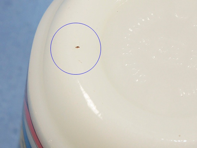 ե䡼󥰡SNOOPY̡ԡץ쥸ǥȡNO.1