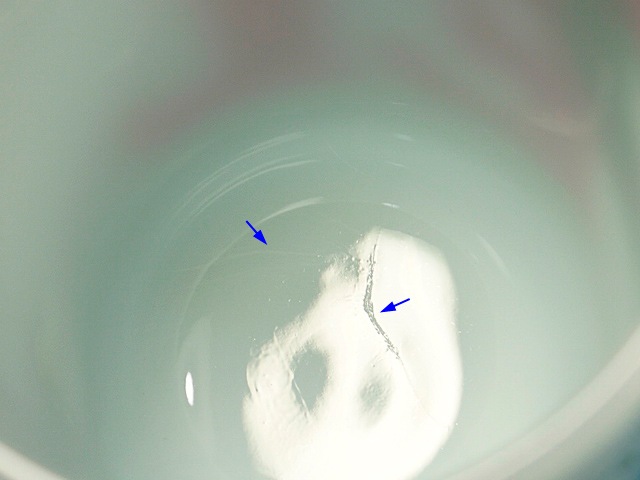 ե䡼󥰡SNOOPYNOEL ̡ԡΥ