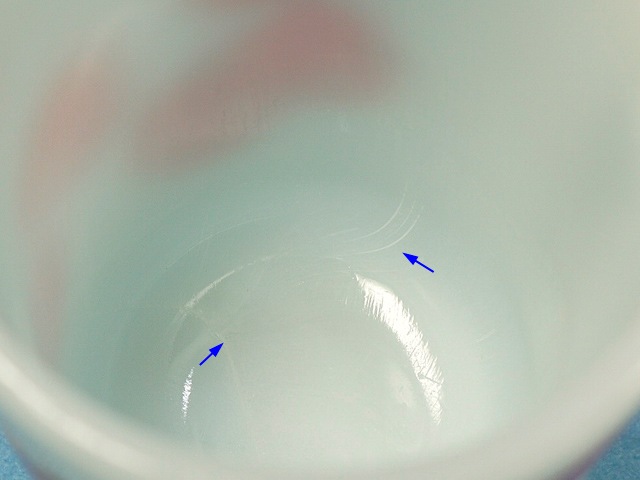 ե䡼󥰡APPLEDUMPLINåץץ