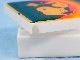 �ӥ�ơ�����'70s  ���̡��ԡ���Pill Case���ԥ륱������5�ĥ��å�