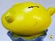 �ӥ�ơ�����Play Pal Plastic  '71  Monster Bank����󥹥����Х�