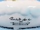 �ӥ�ơ�����Willitts  '88�����̡��ԡ������르���롡Christmas  Signarure  Collection