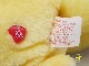 �ӥ�ơ�����Kenner��'83��Care Bears �����٥�  �ե��󥷥㥤��٥����̤������