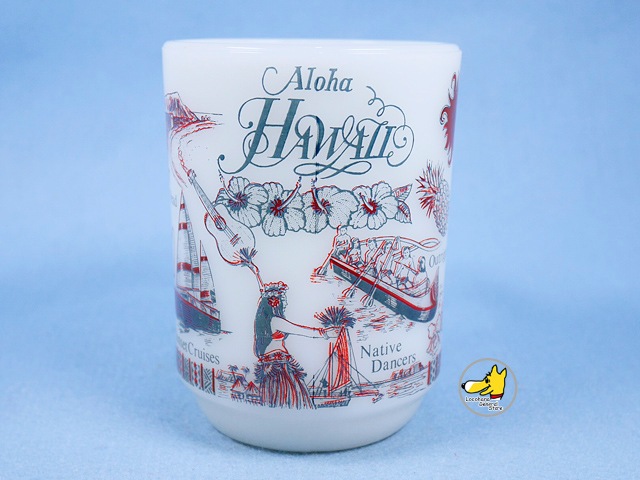 �ե����䡼���󥰡���Hawaii�����ϥ磻