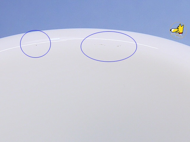 �ե����䡼���󥰡�White Extra Heavy ���ۥ磻�ȡ��������ȥ�إӡ�