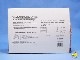 �ӥ�ơ�����Gingerbread Man�����󥸥㡼�ޥ󡡥���ߥ͡������10�饤�ȡ�Ȣ��