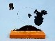 �ӥ�ơ�����Aviva 1971��72�����̡��ԡ���Wood Base���ȥ��ե�����Sparkies�����㡼�꡼