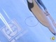 �ӥ�ơ������ڥץ���'73��PORKY��PIG �ݡ��������ԥå������饹