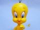 �ӥ�ơ�����DAKIN  '69   LOONEY TUNES��Tweety ���ȥ������ƥ���