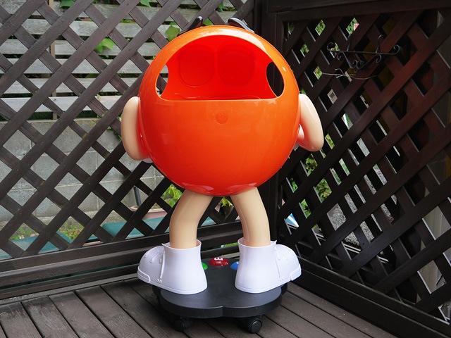 ������̵���ۥӥ�ơ�����M&M's Store Display�����ȥ��ǥ����ץ쥤�������