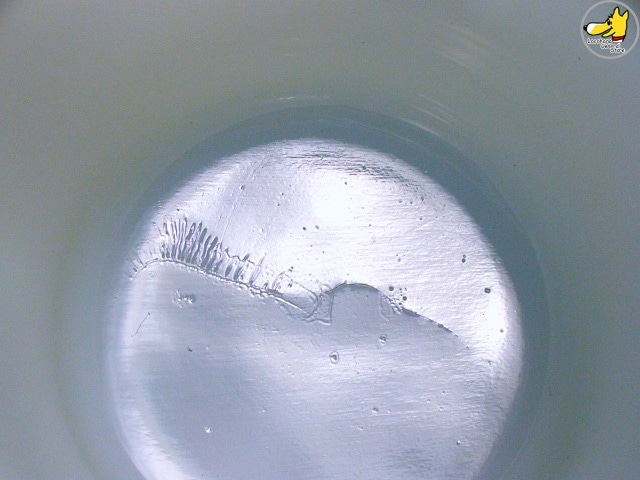 �ե����䡼���󥰡����꡼�󥸥㥤����ȡ���ȥ륹�ץ饦��