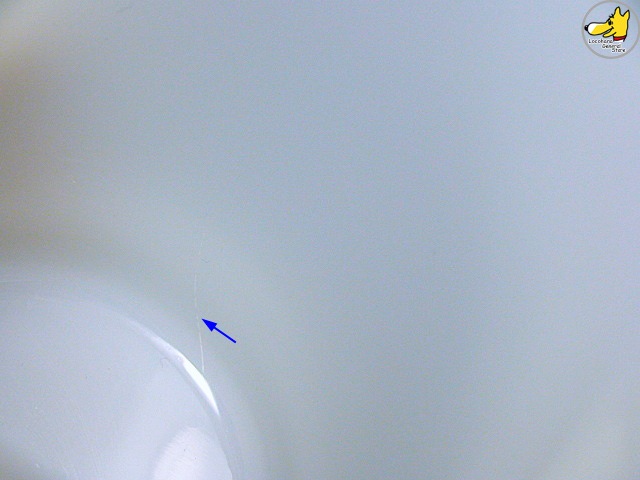 �ե����䡼���󥰡����꡼�󥸥㥤����ȡ���ȥ륹�ץ饦��