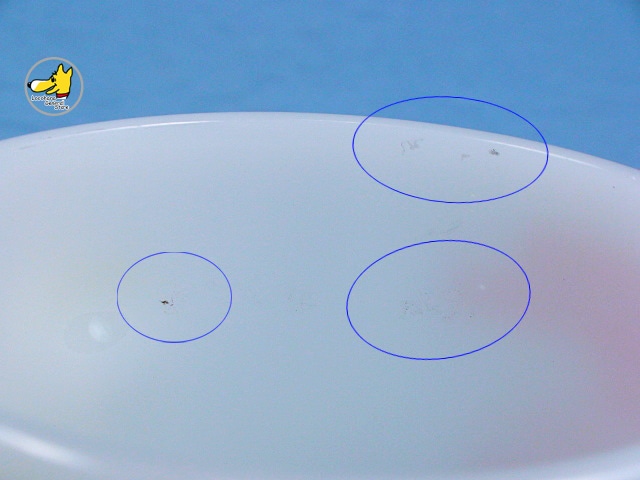 �ե����䡼���󥰡�FREDERICK UNDERWRITERS INC.���ե�ǥ�å��� ��������饤����