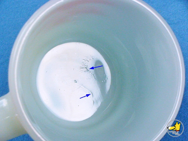 �ե����䡼���󥰡�FREDERICK UNDERWRITERS INC.���ե�ǥ�å��� ��������饤����