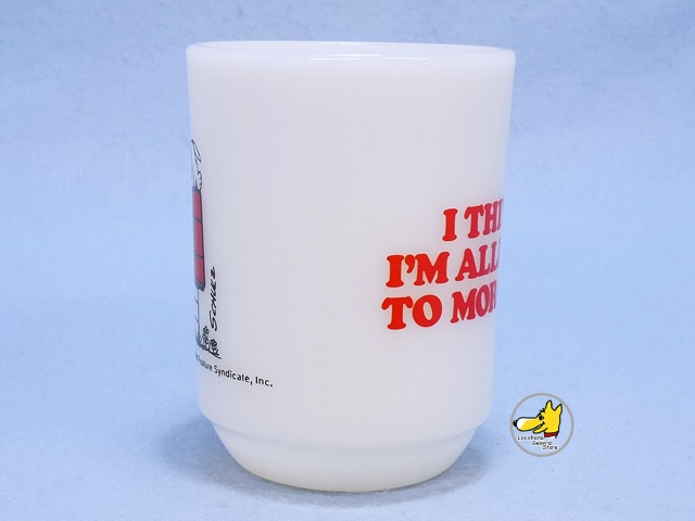 �ե����䡼���󥰡�SNOOPY ���̡��ԡ����⡼�˥󥰥���륮��