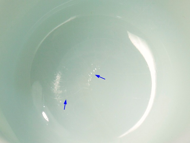 �ե����䡼���󥰡�SNOOPY�����̡��ԡ����ץ쥸�ǥ�ȡ�NO.3