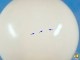 �ӥ�ơ�����Determined��'69�����̡��ԡ��������ȥ��Ρ��ġ�2nd�����åѡ�������