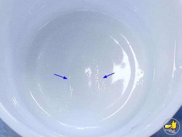 ե䡼󥰡Johnny Appleseed ˡåץ륷