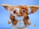 �ӥ�ơ�����Hasbro  '84��Gremlins���������Gizmo  Plush�ɡ��롡