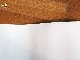 �ӥ�ơ�����'90��  ���̡��ԡ���Poster���ޡ�����
