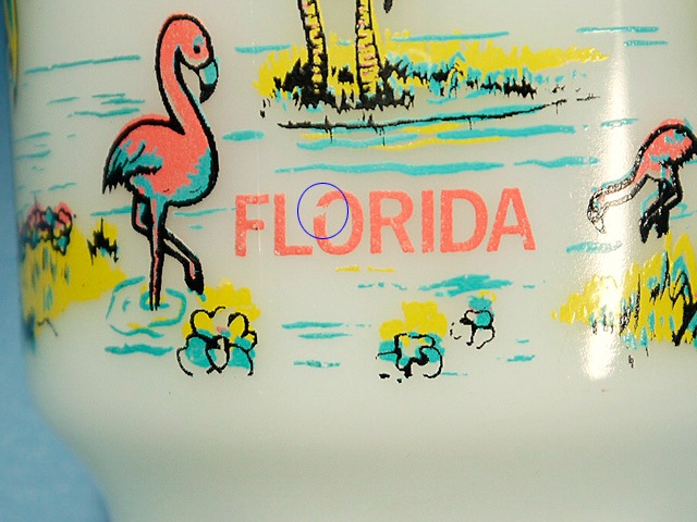 ������̵���ۡ��ե����䡼���󥰡�Florida���ե����