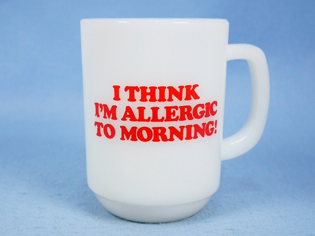 �ե����䡼���󥰡�SNOOPY ���̡��ԡ����⡼�˥󥰥���륮��