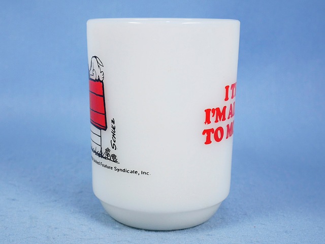 �ե����䡼���󥰡�SNOOPY ���̡��ԡ����⡼�˥󥰥���륮��