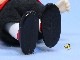 �ӥ�ơ�����Determined '68  ���㡼�꡼ Pocket Doll  ���եӡ�˹���դ�