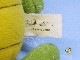 �ӥ�ơ�����Daily Queen���ߡ���ȥ����ϥ�ʥС��٥顡 Wally Gator����ˤΥ�꡼