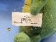 �ӥ�ơ�����Daily Queen���ߡ���ȥ����ϥ�ʥС��٥顡 Wally Gator����ˤΥ�꡼
