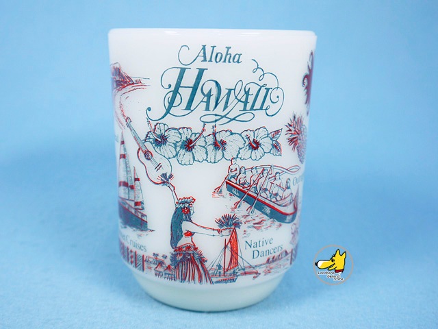 �ե����䡼���󥰡���Hawaii�����ϥ磻��