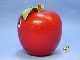 �ӥ�ơ�����Fisher Price��'72��Happy Apple���ϥåԡ����åץ롡���꡼�ݥ꡼