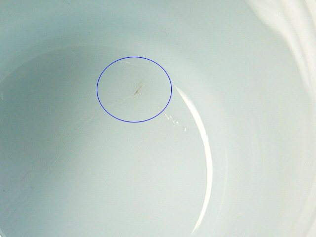 ̵ۥե䡼󥰡С󥰡֥åˣ££áƣ