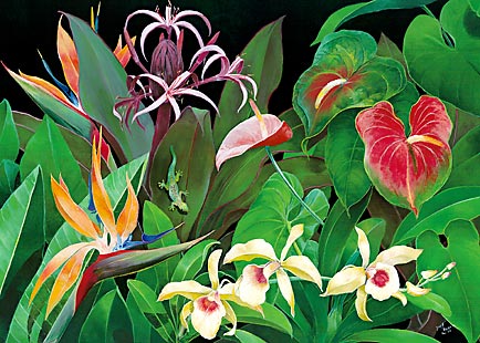 �ϥ磻����ޥϥ������ɡ�Floral Bounty