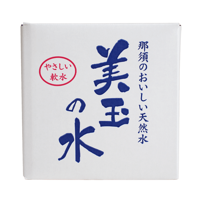 ��� ���̤ο� �Хå�����ܥå���10L 2�ĵ͡��ظ��դ�