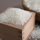 �����ơۡ�����7ǯ���ۤ�Ƥ��Υ����ҥ��� 10kg(5kg�ޡ�2)