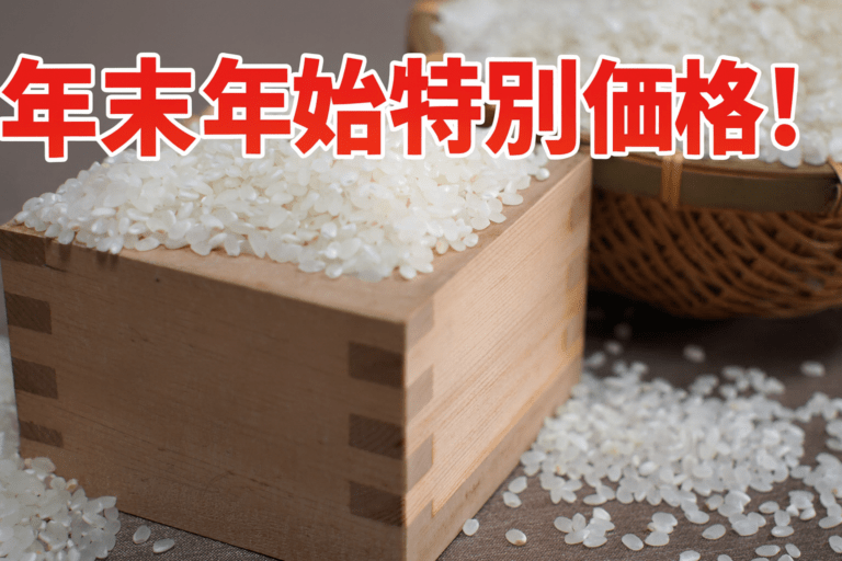 年末年始特別価格【精米】【令和7年産】もてぎのコシヒカリ 10kg(5kg袋