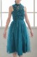 �����������ɥå��󥰥��塼��ɥ쥹��C1621TL