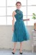 �����������ɥå��󥰥��塼��ɥ쥹��C1621TL