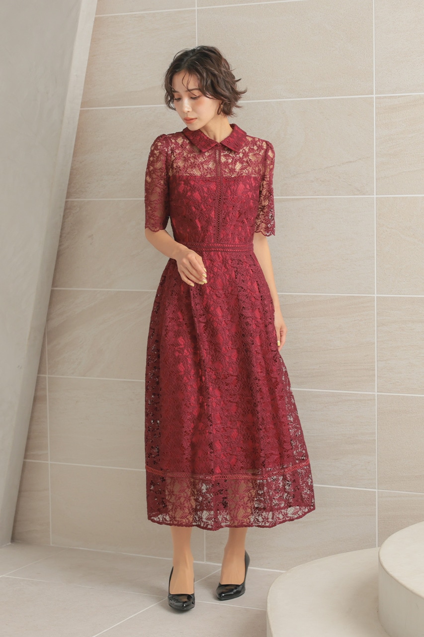 襟付きケミカルライクレースフレアドレス CF029WR ｜パーティードレス